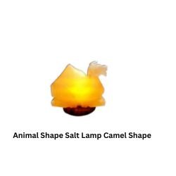 Animal Shape Salt Lamp Camel Shape