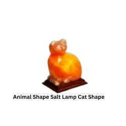 Animal Shape Salt Lamp Cat Shape