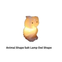 Animal Shape Salt Lamp Owl SHape