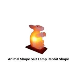 Animal Shape Salt Lamp Rabbit Shape