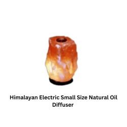 Himalayan Electric Medium Size Natural Oil Diffuser