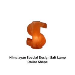 Himalayan Special Design Salt Lamp Dollor Shape