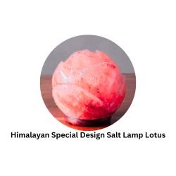 Himalayan Special Design Salt Lamp Lotus
