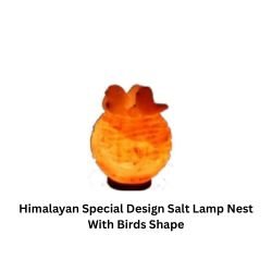 Himalayan Special Design Salt Lamp Nest With Birds Shape
