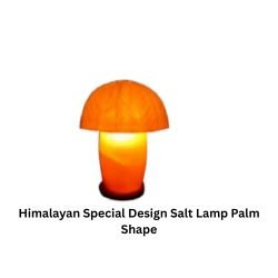 Himalayan Special Design Salt Lamp Palm Shape