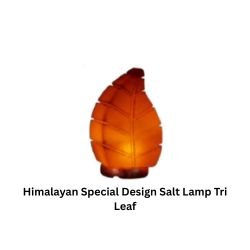 Himalayan Special Design Salt Lamp Tri Leaf