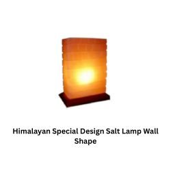 Himalayan Special Design Salt Lamp Wall Shape