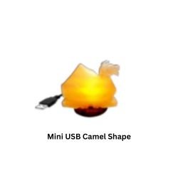 Mini USB Camel Shape