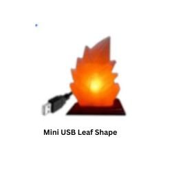 Mini USB Leaf Shape
