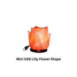 Mini USB Lilly Flower Shape