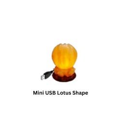Mini USB Lotus Shape