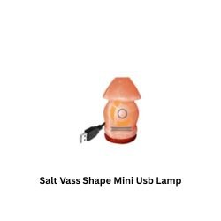 Salt Vass Shape Mini Usb Lamp